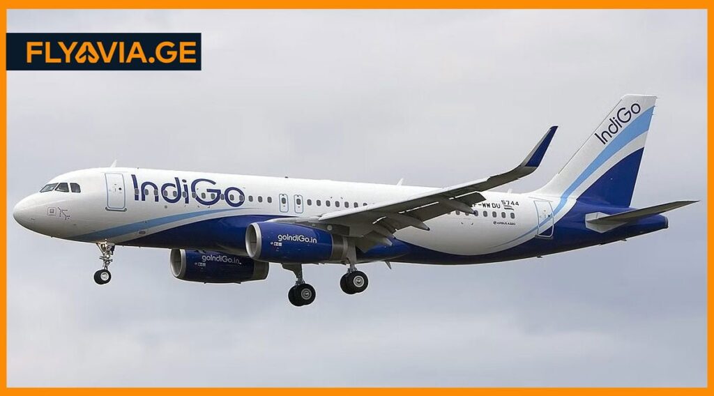 indigo